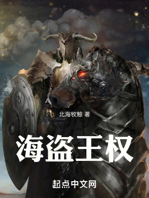海盗王是什么意思