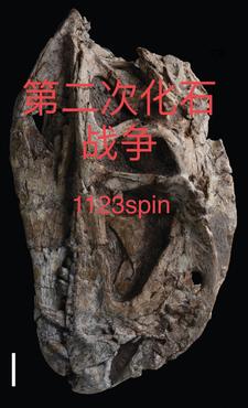 第二次化疗开始前需要做哪些检查
